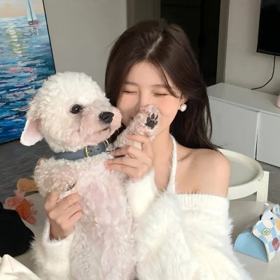 混沌的秩序